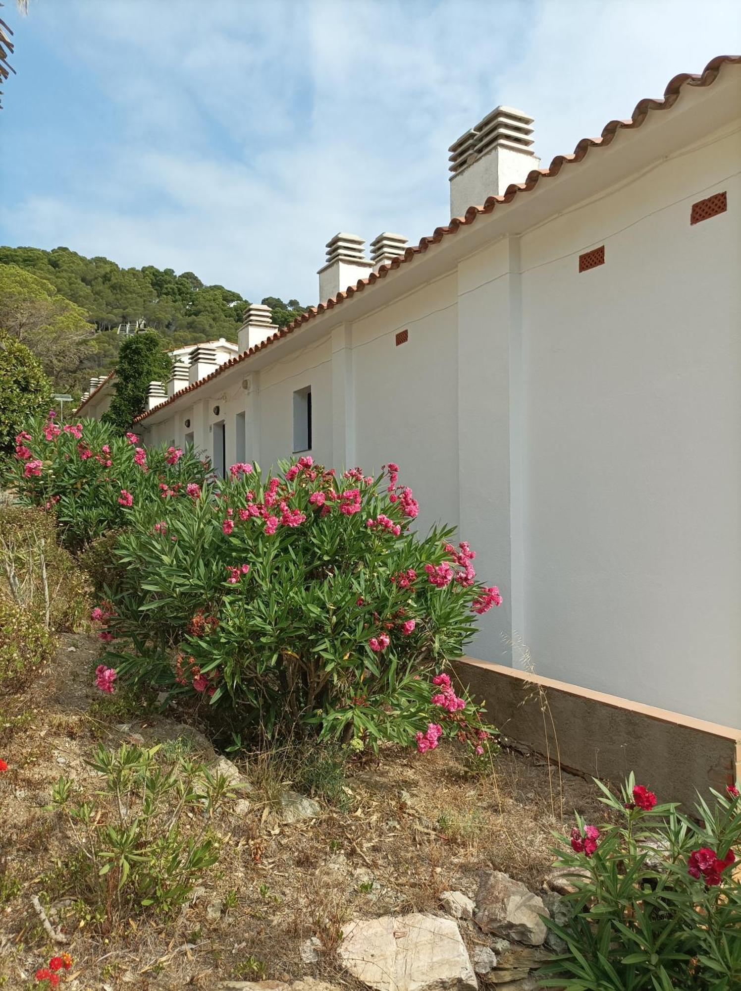 "Le Balcon De La Mer" Residence "Icaros"-Wifi-Piscine-Parking بيغور المظهر الخارجي الصورة